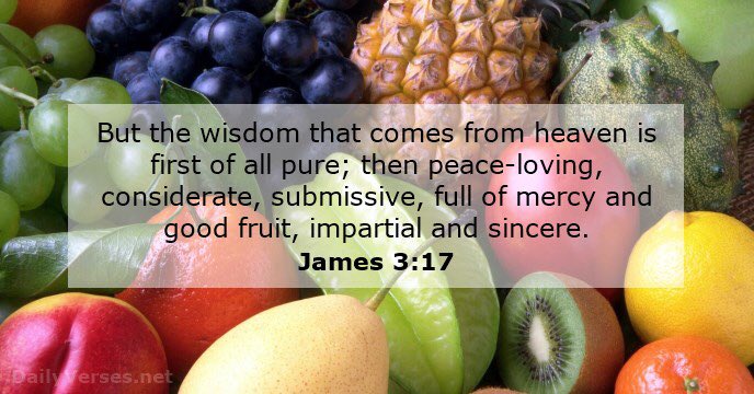 donnalee1962's tweet image. But the wisdom that is from above is first pure, then peaceable, gentle, willing to yield, full of mercy and good fruits, without partiality and without hypocrisy.
James 3:17 #HeavenlyWisdom #mercy #truth #Peace