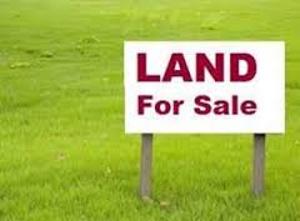 BusinesSquare's tweet image. Cheap Plots of Land for Sale in #portharcourt by Salvation Ministry headquarters at Igwuruta Call me on 08065921980 PLEASE RETWEET @naibac @SellitinPHC @azubix @TheRetweeterNg @ebuka_akara @DavidIbiyeomie @GovWike @rivjobs @diokm06 😀