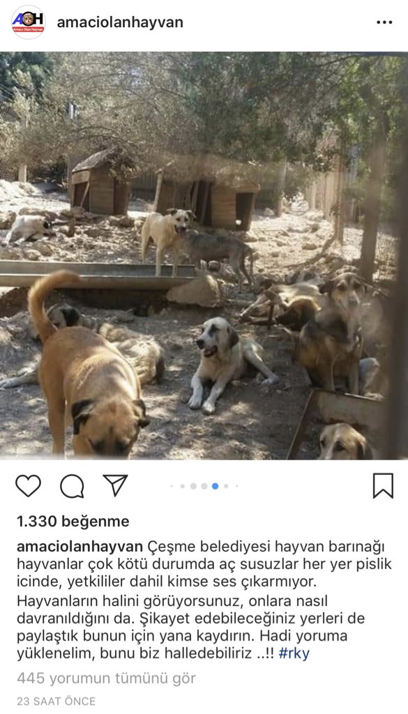 Ya içinize siniyo mu gerçekten? Ya da konuyla ilgili gerekçeleriniz neler Sayın başkan <a href="/BaskanDalgic/">Muhittin Dalgıç</a> ? <a href="/cesmebld/">Çeşme Belediyesi</a>