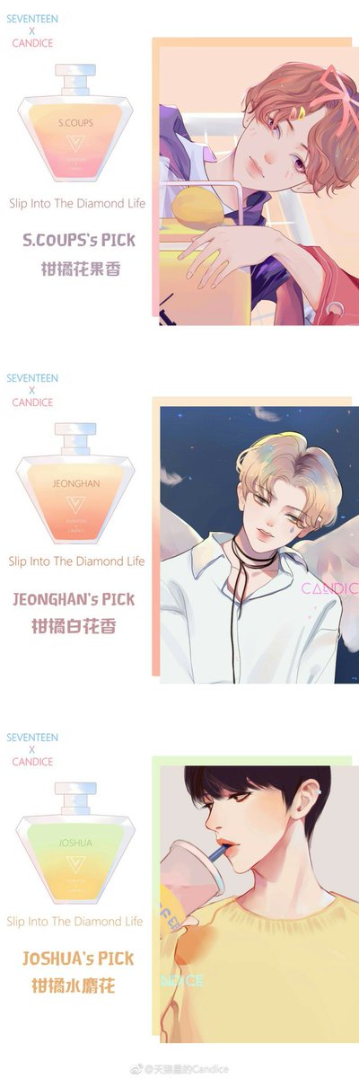 天狼星的candice 세븐틴 Seventeen 香水