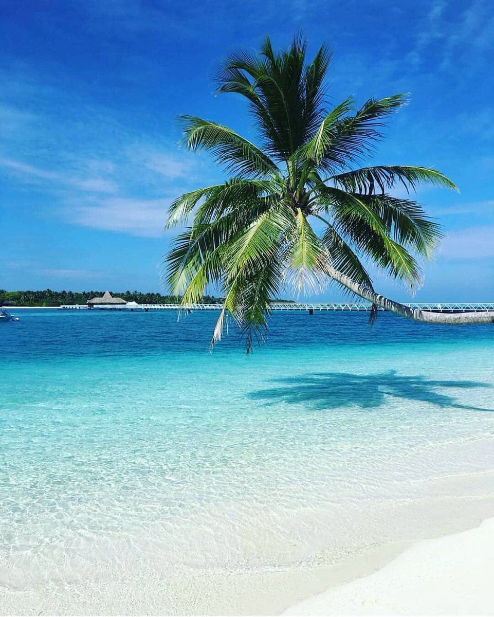 We just can't help ourselves when it comes to looking up #holiday destinations! We can't wait to go on our next adventure and we are definitely thinking it should be to a tropical, #Caribbean paradise! 🏝️ ⠀
⠀
📸 <a href="/spiagge/">Alison Hill</a>.da.sogno