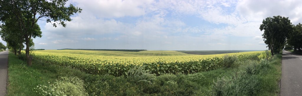 Ioana Andrada (@andradatudorie) on Twitter photo Welcome to the sunny 🇷🇴 countryside, the definition of peace & quiet. #TuesdayThoughts <a href="/VisitRomania_co/">Surprising Romania</a> Welcome to the sunny 🇷🇴 countryside, the definition of peace & quiet. #TuesdayThoughts <a href="/VisitRomania_co/">Surprising Romania</a>