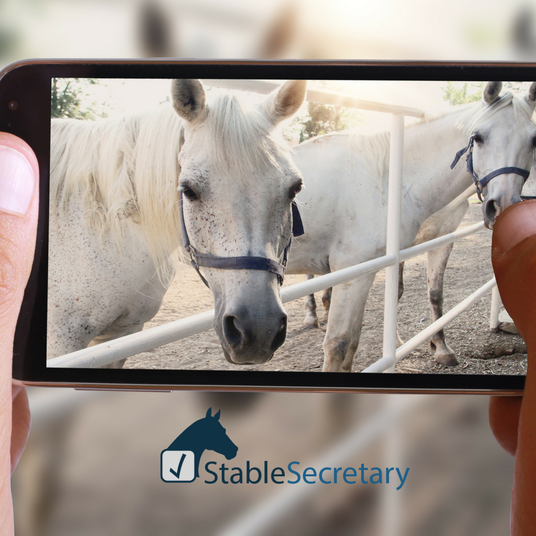 stablesecretary's tweet photo. It's easy to use the @StableSecr1 #MobileApp to manage your #horses from your #smartphone. Even if youβre sitting on a #horse, teaching, or busy in the #barn, you will be able to add and view information #anytimeanywhere #tech #tuesday #stablesecretary https://t.co/qY69XXRcgW https://t.co/4mk3i1YihR