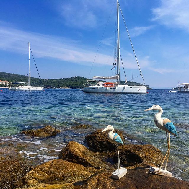 45degreessail's tweet photo. Made friends with these two long legged locals. Asked them to keep an eye on our boat because we were too busy exploring ashore in Vis! #makingfriends #exploring #explorers #moored #mooring #vis #lukavis #otokvis #sailingboat #yacht #hanseyacht #hanse505 #croatiayachting #tr… https://t.co/D52USv5pZm