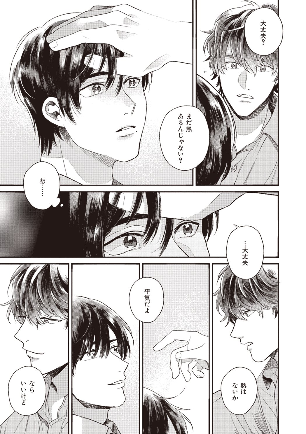 大洋図書／bs-garden（軟式） on X: 