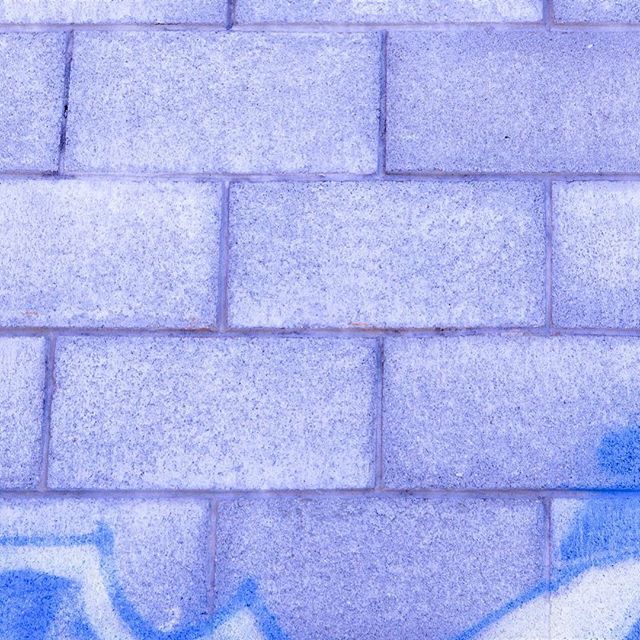 Squawk Digital tweet media