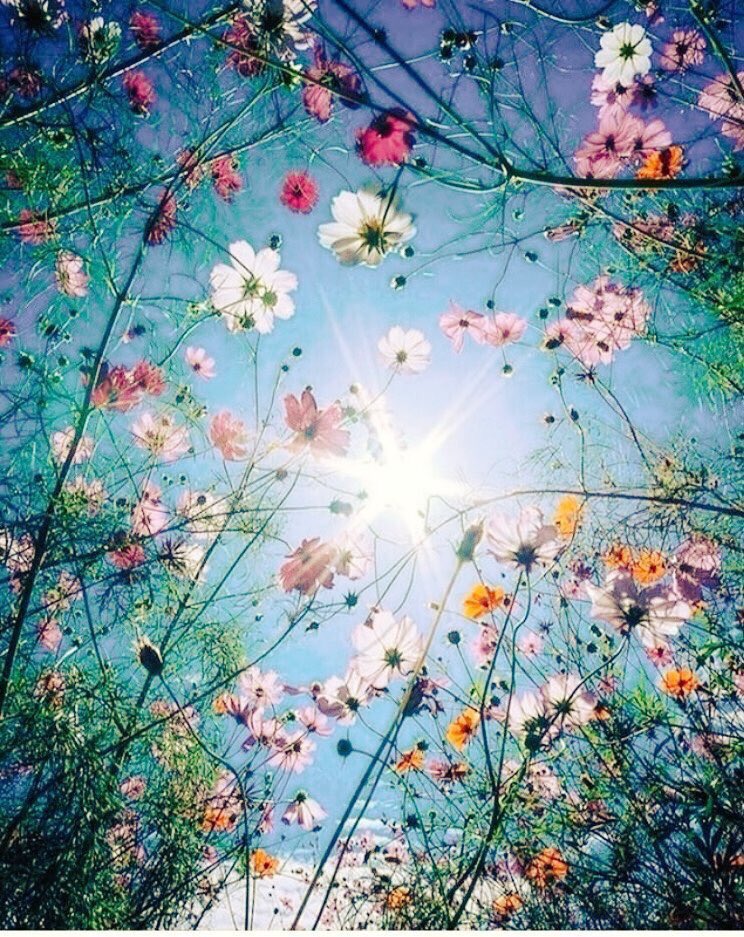s_msonia's tweet photo. Quizás hay días en los que no me siento especialmente feliz,pero siempre encuentro espacio para regalar una sonrisa y motivos suficientes para continuar,con fuerza..con esfuerzo...camino hacia la esperanza
#sunsshine #hope #life
#rulelife #happytuesday https://t.co/wdhMNknkRo
