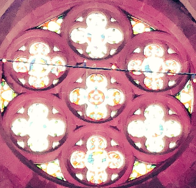 beverley lyons tweet media