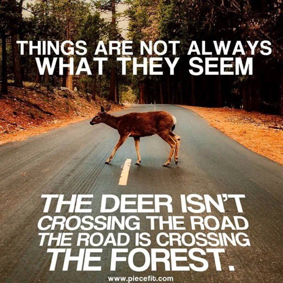 NatuurPlus's tweet photo. @marliesdevet @Brabant Things are not always
what they seem
🦌
The deer isn't crossing the road, the road is crossing the forest

#overstekendwild #verkeersslachtoffers https://t.co/PSoFXX2HLF
