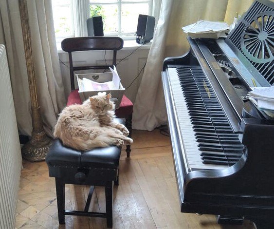 RecoveryActive's tweet photo. Interested in music? @RecoveryActive is planning music lessons for clients in Autumn. Let us know if you're interested! #makerecoveryfun #MusicMatters https://t.co/HpgvpeqFKu