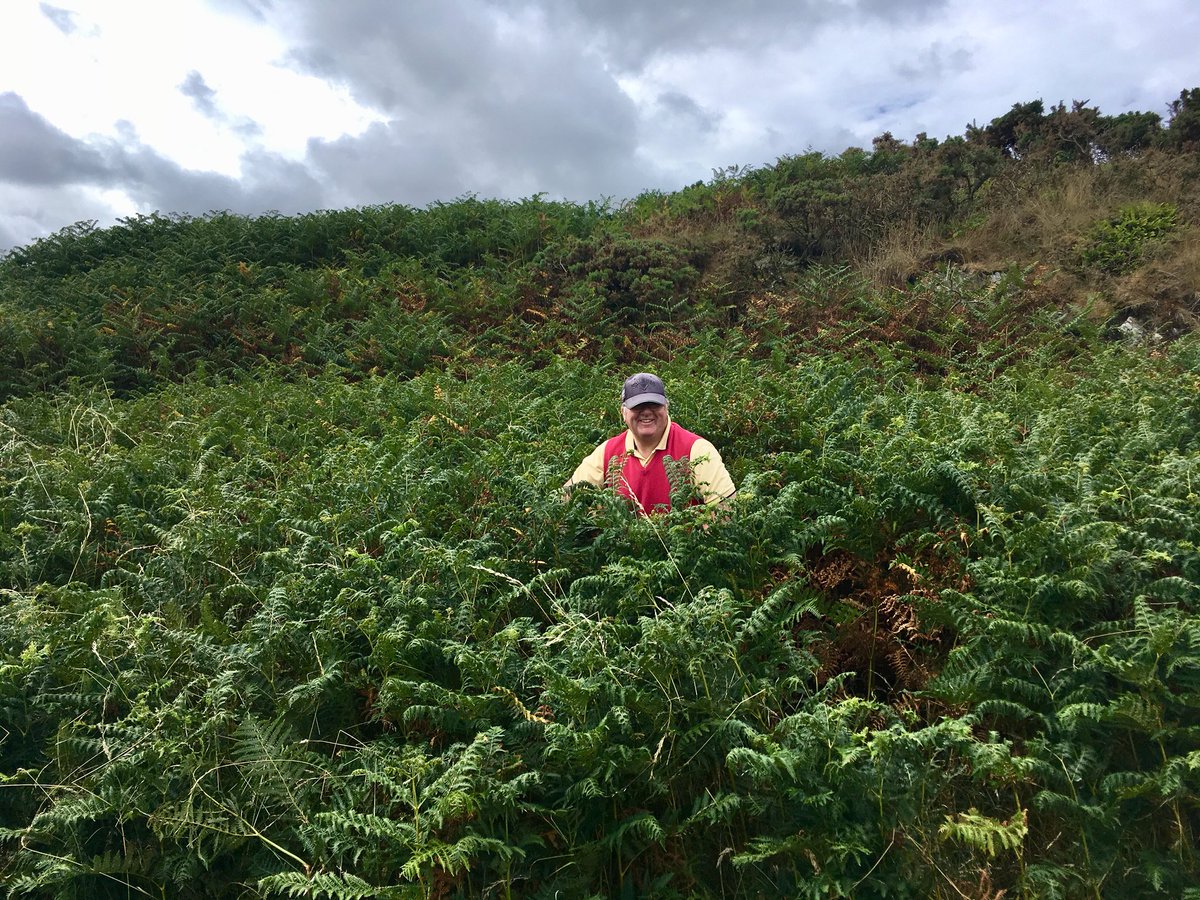 Lowri_Amlwch's tweet photo. Llun bach doniol i chi @bullbaygolfclub ! Be’ mae Cyn Gapten @Trevor4242 yn ei wneud?! Do you really want to find the ball in there?! #Openweek2018 #fore https://t.co/TZbMLoceKI