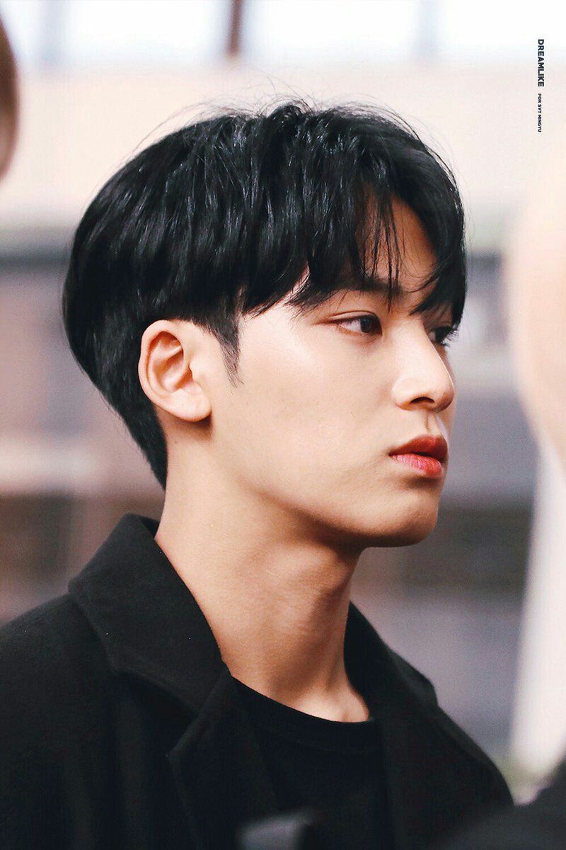 Mingyu SEVENTEEN