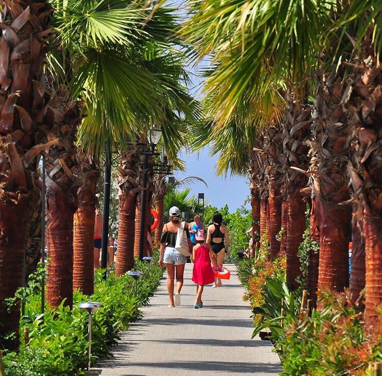 NumaHotels's tweet photo. Walking path to #heaven @sentidonumabay
#SentidoNumaBay #NumaBeach #NumaKonaktepe https://t.co/M5tMkDalO6