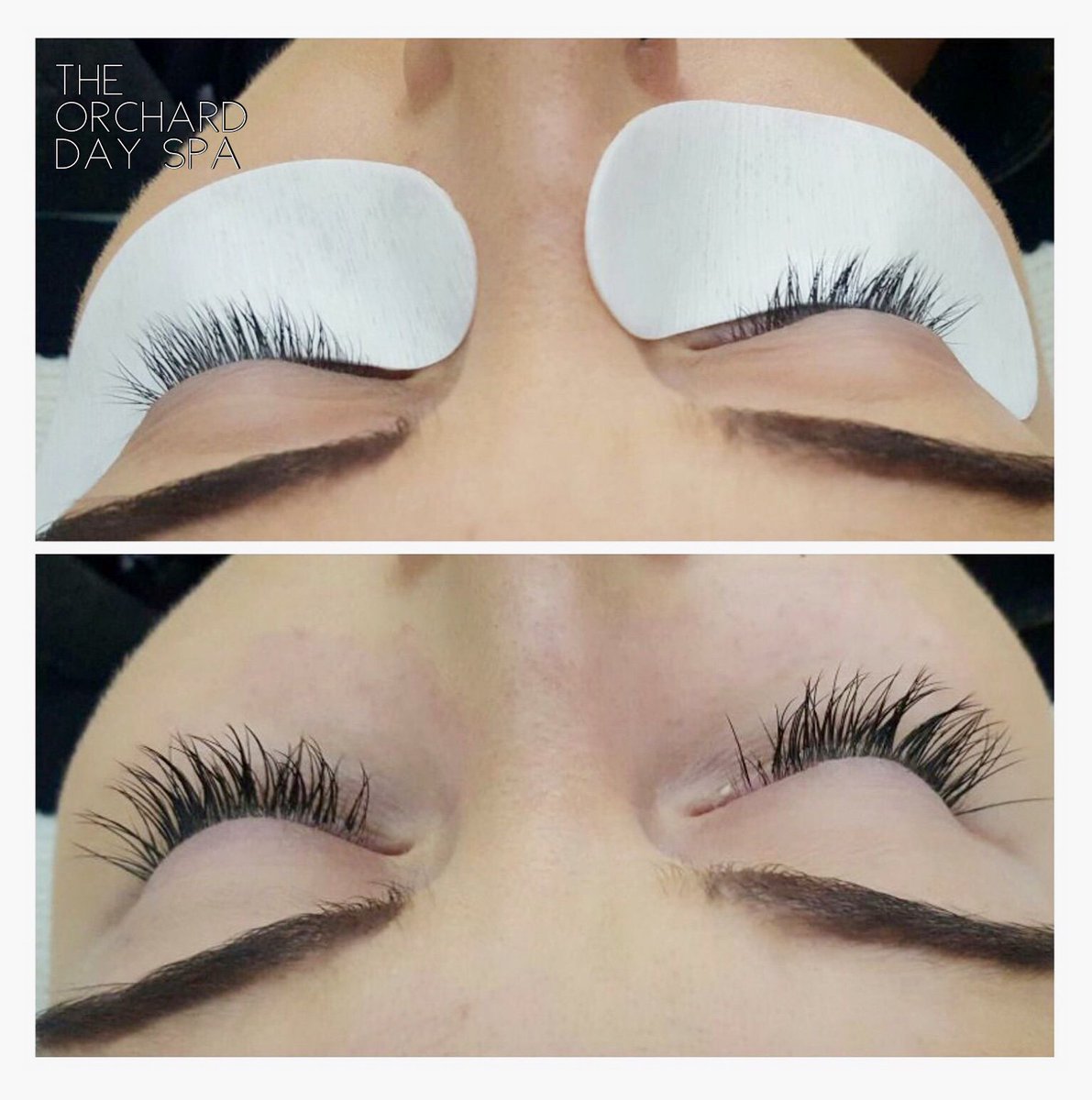 The Orchard Day Spa tweet media