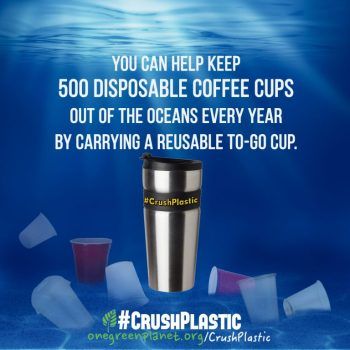 SaveOurEarth16's tweet image. Many tips about how we can eliminate the use of plastic in our daily lives. I am slowly getting out of bad habits in my life and living with plastic less.
Join One Green Planet’s #CrushPlastic Movement! buff.ly/20zMDTz