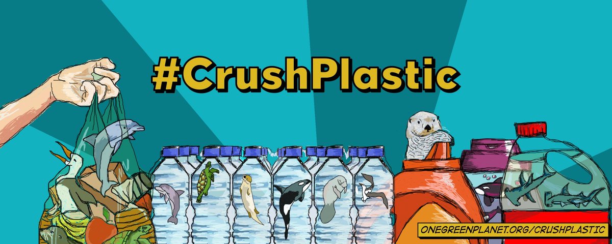 SaveOurEarth16's tweet image. Many tips about how we can eliminate the use of plastic in our daily lives. I am slowly getting out of bad habits in my life and living with plastic less.
Join One Green Planet’s #CrushPlastic Movement! buff.ly/20zMDTz