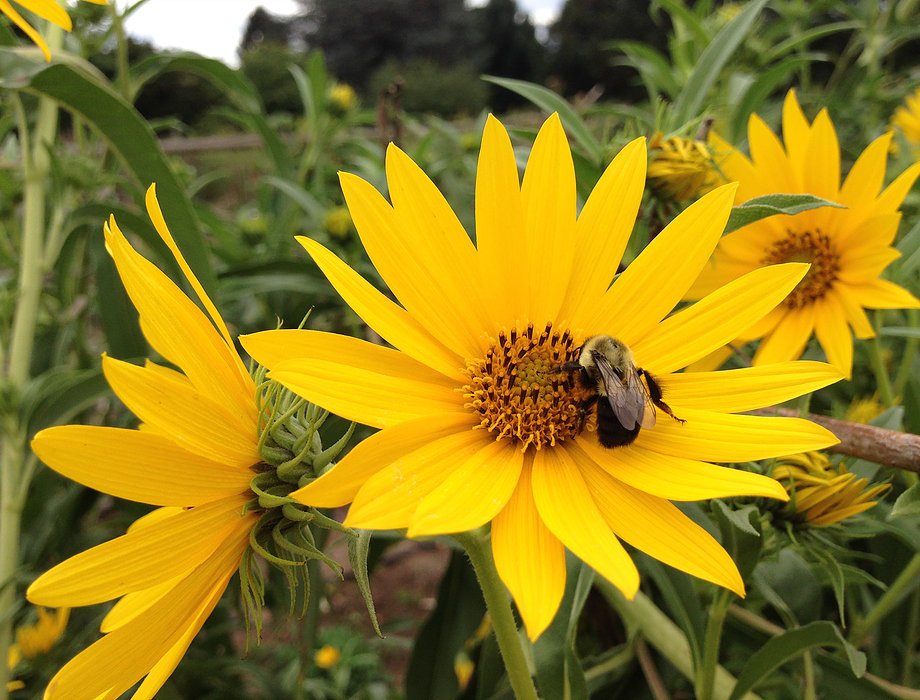 Mark Genung tweet media