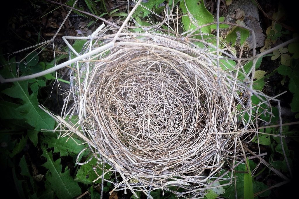 If you have a void period, yes, you’re missing out on #rental income – but don’t forget there are also extra costs that can rack up.
buff.ly/2KjqNmT