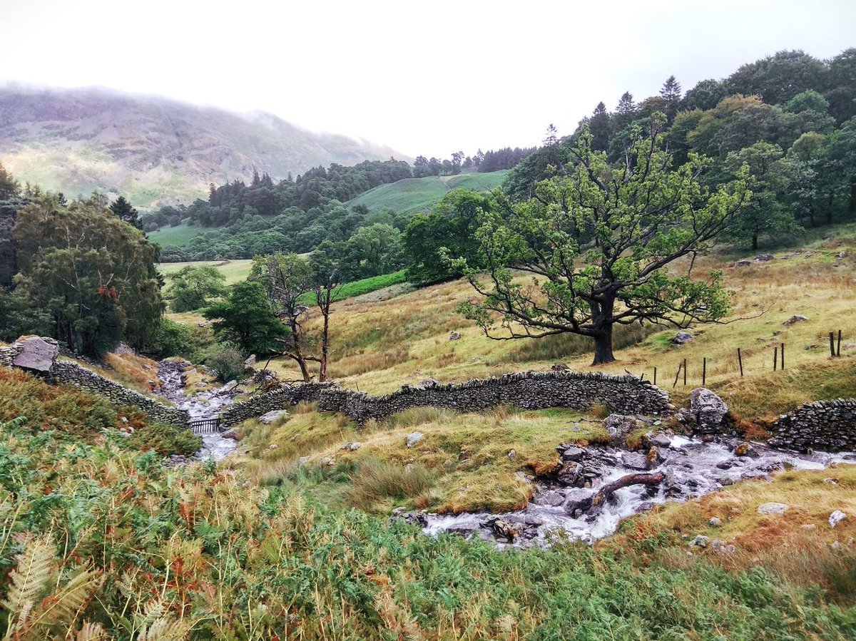 streamltd's tweet image. Chris has been to the #Lakes for epiphanies and cakes! We're not jealous... 😶

Where do you go to find your #inspiration? 

#lakedistrict #creativity #nature #muse #mountain