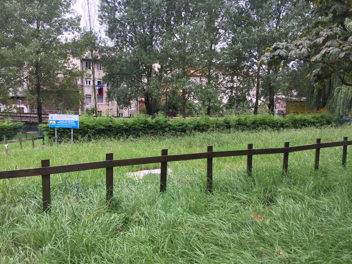 ctolef's tweet photo. No abundan los espacios para #perros en #santander. Pero si además los que hay no se cuidan, mal vamos #parquemorales #segarnovienemal #noveoamiperro #selohatragadolamaleza @gemaigual #santander @ayto_santander https://t.co/WXDxWTmAOG