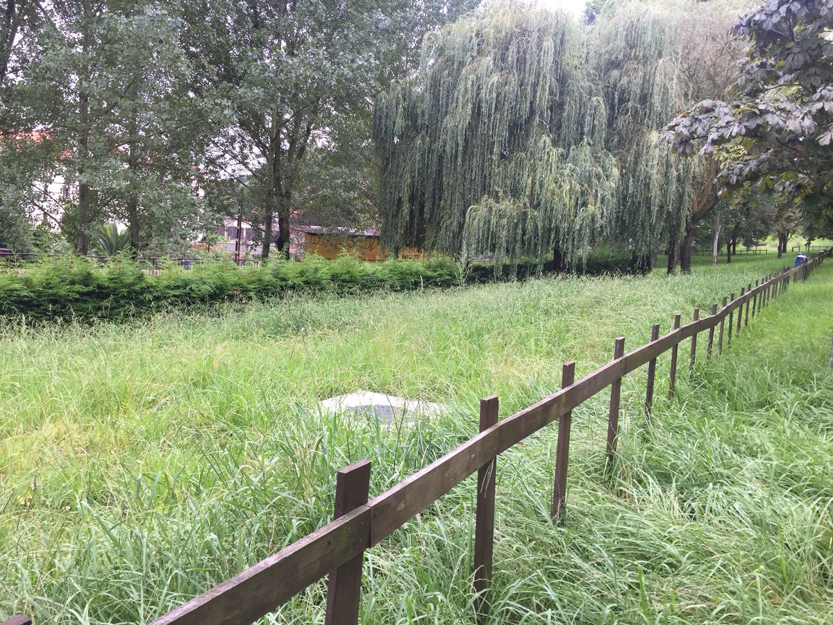ctolef's tweet photo. No abundan los espacios para #perros en #santander. Pero si además los que hay no se cuidan, mal vamos #parquemorales #segarnovienemal #noveoamiperro #selohatragadolamaleza @gemaigual #santander @ayto_santander https://t.co/WXDxWTmAOG