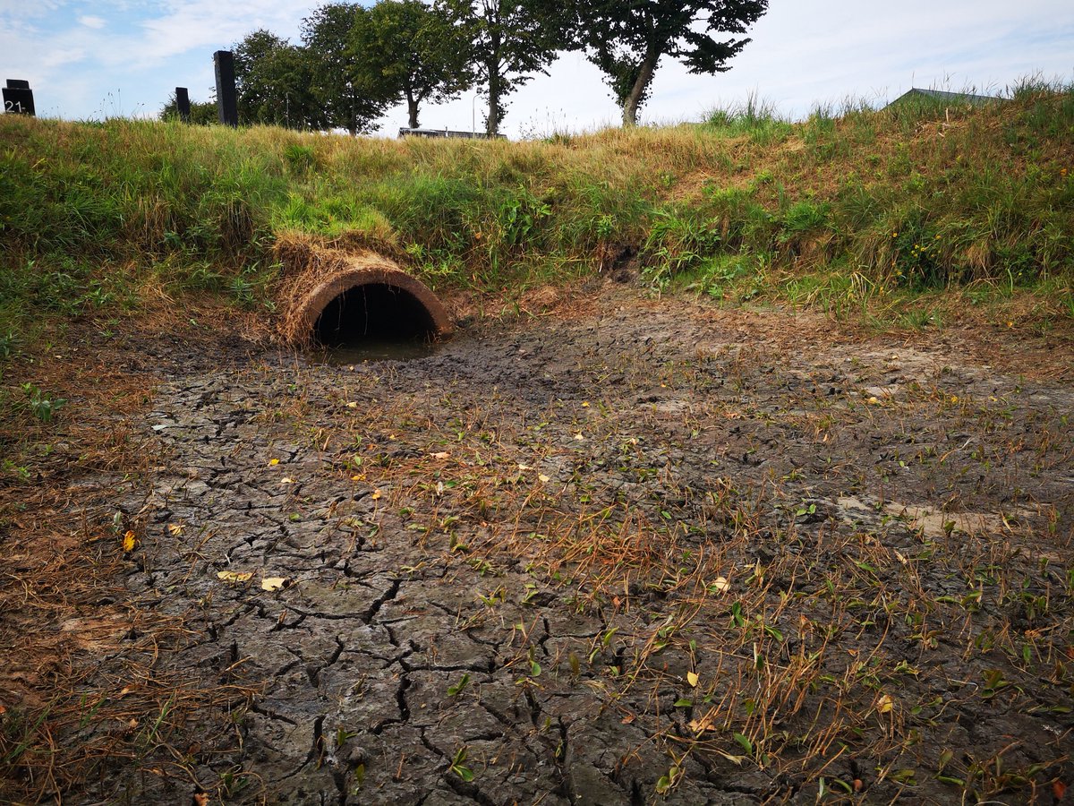 WDODelta's tweet photo. De actuele informatie over #droogt leest u op https://t.co/oEkigROBL5. Voor vragen over onttrekkingsverboden/beweidingsverbod / beregening kunt u contact opnemen met https://t.co/JExmWfeBi4. 085-7733389. Voor andere vragen kunt u bellen met https://t.co/JExmWfeBi4. 088-2331200. https://t.co/Asnd9n1tow