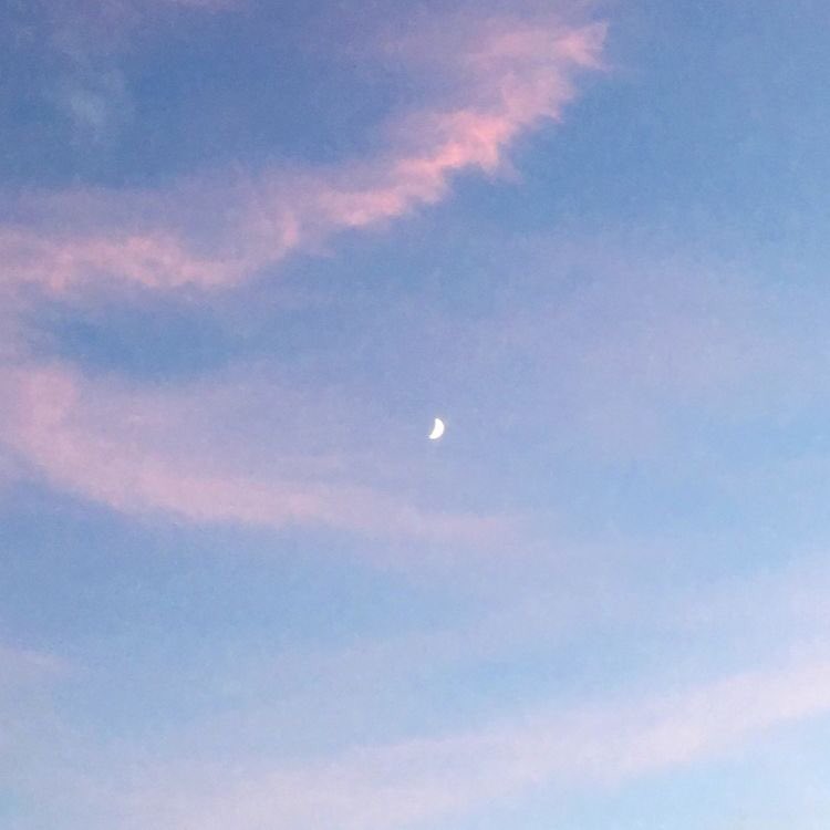 ˚˚ ༘♡🌷 babymoon 🐶🌻🍒✧︎.* tweet media