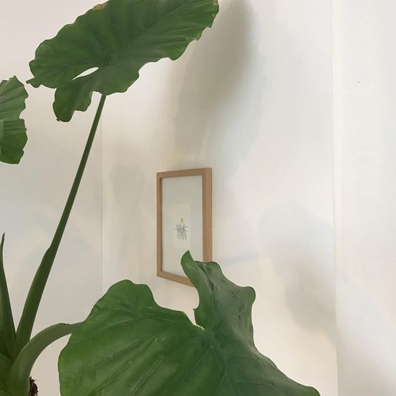 ▾   ͇ ⌖ ╺̱ ❪ ⁦#johnny ❫╺̱  ⌖   ͇  ▾
 ➖̸𐬹 ⁦imgur.com/a/7lAbIz5⁩ 𐬹➖̸
𓊪 💀𐄀 ֯  𓇮 𑁦 ܻ  𓍹 ⁦#แจกดิส⁩ 𓍻 ܻ 𑁦 𓇮  ֯ 𐄀💀 𓊪