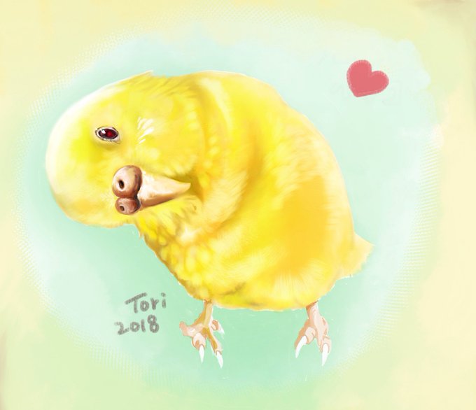 ピンナップガールのtwitterイラスト検索結果