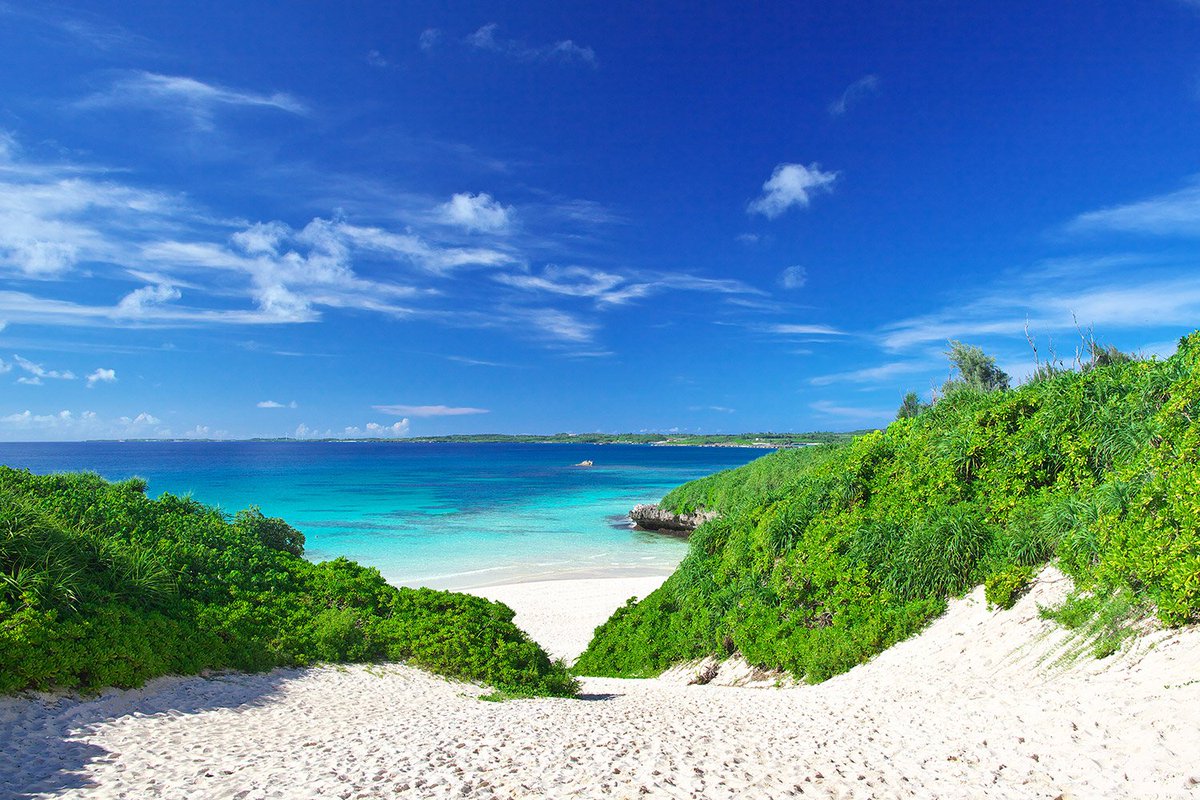 Hoshino_Resorts's tweet photo. Try and win a goody bag filled with the flavours and fragrances of Okinawa! 🎁🎉 https://t.co/CSkIkPUeap #Hoshinoresorts #Come2Japan #Stay4fun #Flavours #Okinawa #Goodies #Fragrance https://t.co/NN9CRKszwb