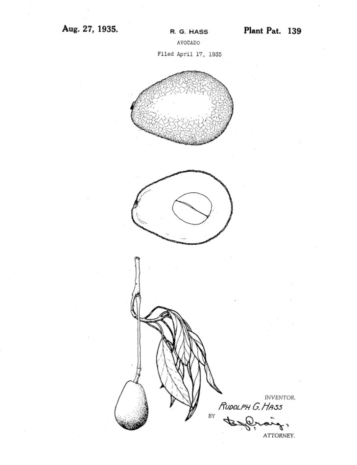 biotechnologische leckerbissen