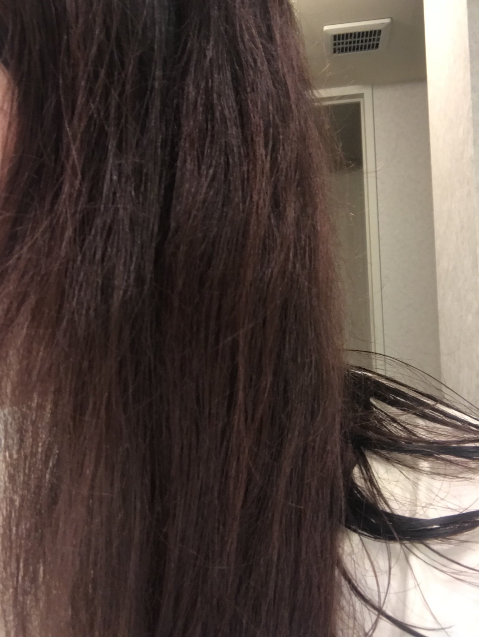 よしみ Di Twitter 5分で可愛いピンクヘアー クイスクイス デビルズトリック キャンディピンク をお試し 乾いた髪に塗布して 5分でok 毛先にかけてグラデーションになるから使いやすい ヘアカラートリートメント カラートリートメント セルフカラー よしみ Di Twitter 5分で可愛いピンクヘアー クイスクイス デビルズトリック キャンディピンク をお試し 乾いた髪に塗布して 5分でok 毛先にかけてグラデーションになるから使いやすい ヘアカラートリートメント カラートリートメント セルフカラー