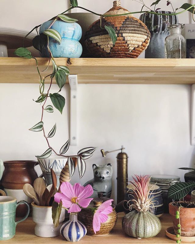 Balcony flowers for the kitchen shelf🤗🌸💚 Or as I like to say: little touches of happiness! #urbanjunglebloggers #kitchen #flowers #kitchenshelves #bohovibes #bohemian #happiness #casafeliz