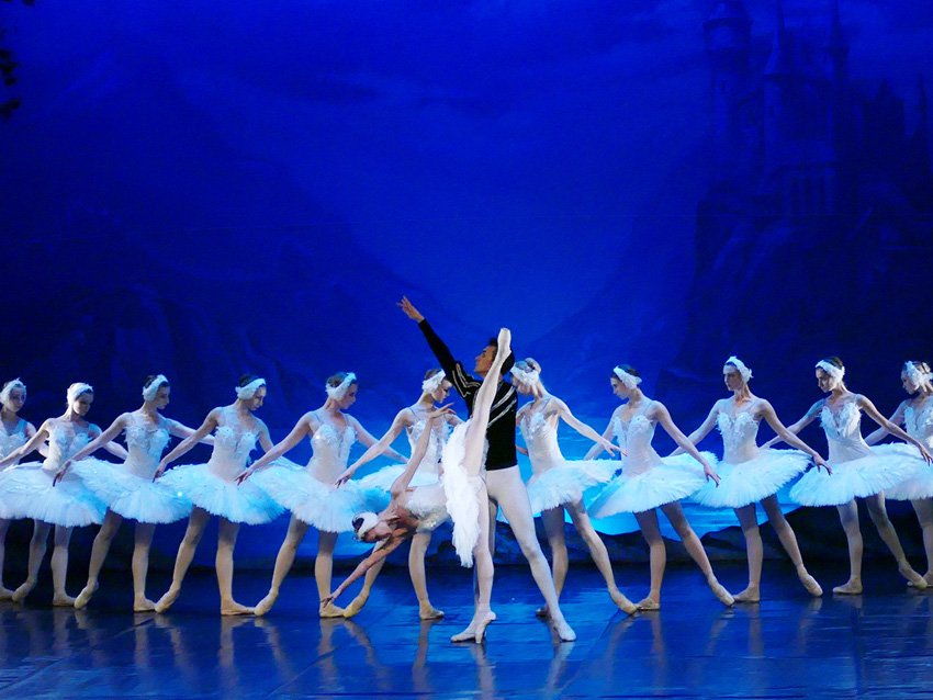 baluarte's tweet photo. A la venta entradas para 'El lago de los cisnes' 13 de enero 2019 https://t.co/Kqi9f30R7z #ballet
‘Zisneen aintzira’ ikuskizunerako sarrerak salgai
2019ko urtarrilak 13
https://t.co/qjS7RKLduH #balleta https://t.co/xi6D0EF3VK