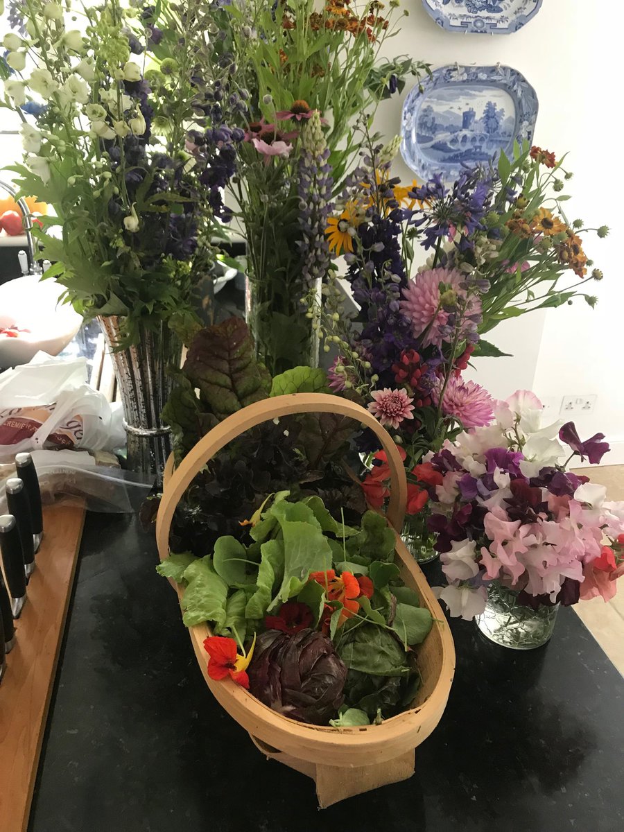 mrgardens's tweet photo. A bumper crop ! #gardening #growyourown #organic #cutflowers #dahlia #sweetpea #lupin #delphinium #lettuce #chard https://t.co/vT9ND5hiYd