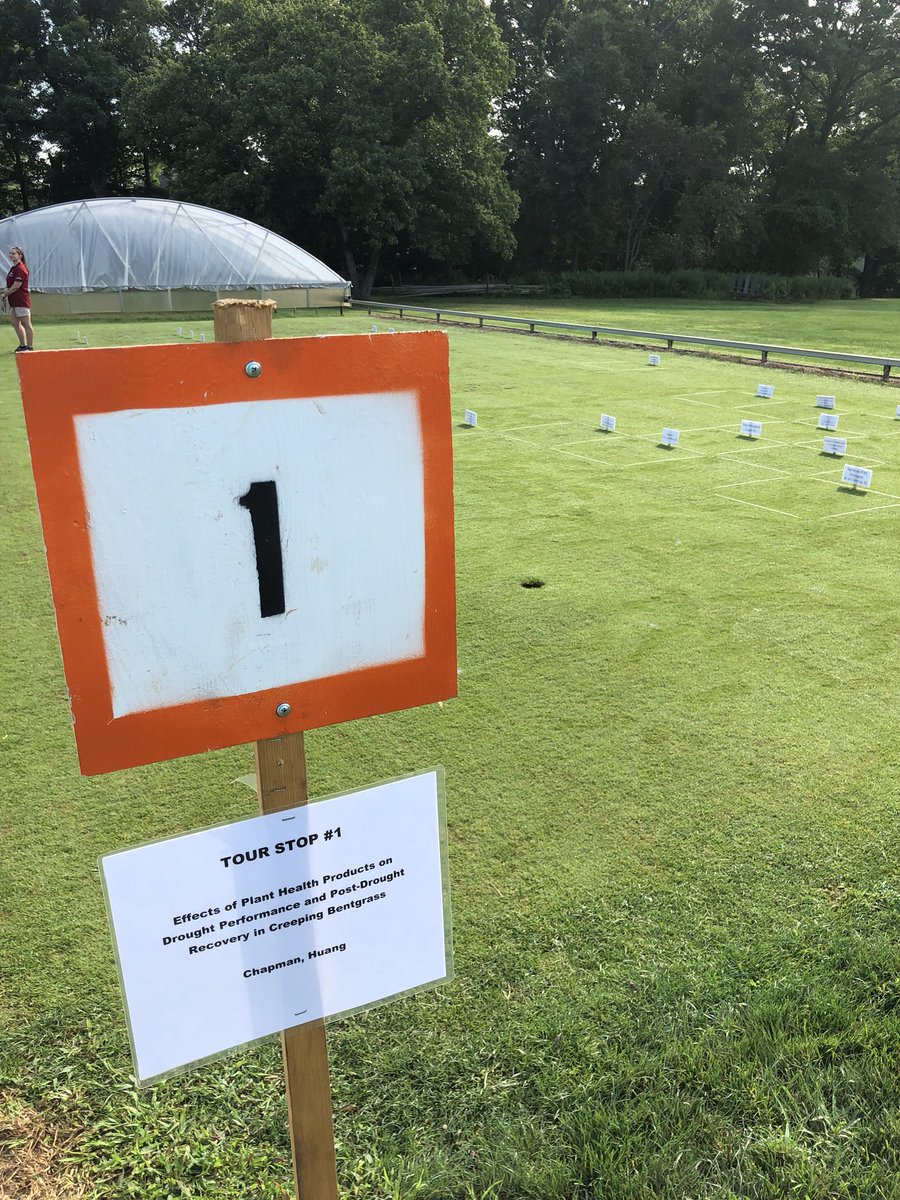 MaxwellTurf's tweet photo. #secureaction by far the best plot under extreme #drought conditions on #bentgrass @SyngentaTurf https://t.co/66dhsFf7az