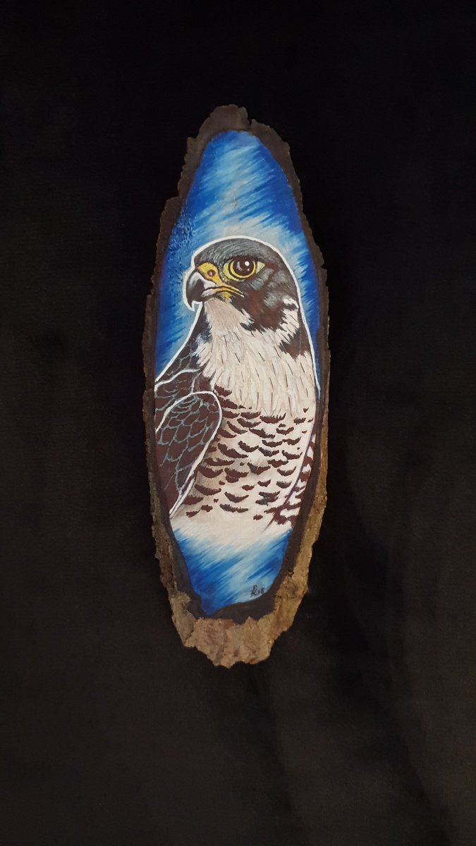AllurinAssassin's tweet photo. Made this for the best stream partner I could ever wish for @samboNsass #peregrineeagle #woodsliceart #fabercastells #Charcoal #feltpen #woodart #woodartists https://t.co/9DiR0HA1uq