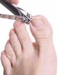 toes_heels's tweet photo. The cutting of your toe nails can help with the prevention of diseases. 
As part of the maintenance of you feet we can cut &amp; file your toenails so that they are a comfortable length for you &amp; help to maintain your nail hygiene &amp; keep you pain free.
Please call us on 01782 538792 https://t.co/MtYXDc2aWq