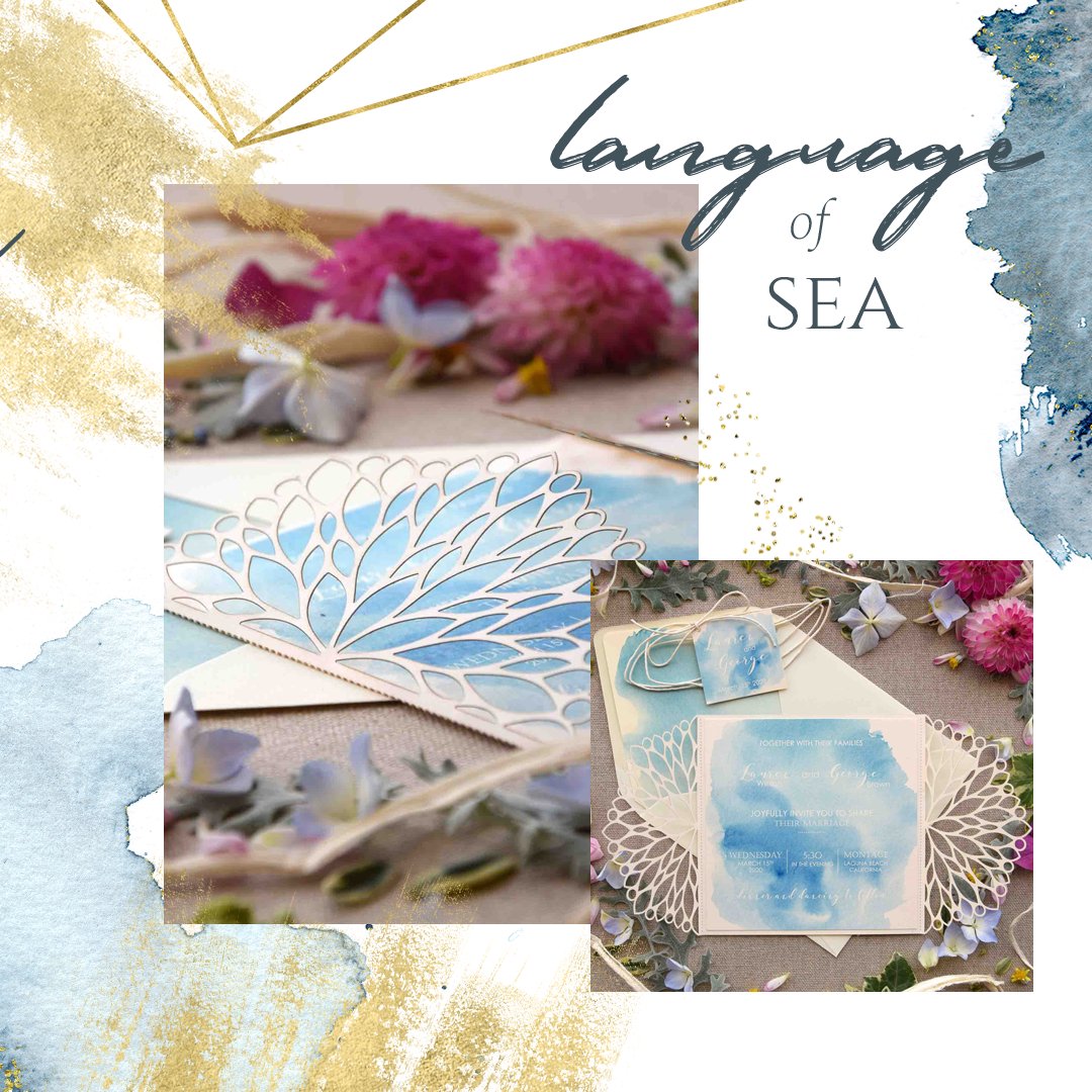 PaperStudioByC's tweet photo. The language of the sea.
https://t.co/TPV0s0W6Pn
.
#paperstudiobyc #ocean #beachwedding #beachinvitations #beach #watercolor #watercolorinvitations #sea #blueinvitations #bluewedding #igprofile #weddingstationery #bride2018 #lasercut #lasercutinvitations #weddingplanner https://t.co/zmRwr5Y2sg