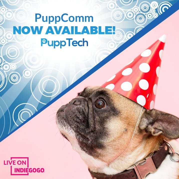 PuppTech's tweet photo. We are celebrating! Today is the day, and we are so excited for you to get your paws on the #PuppComm! #AvailableNow https://t.co/Ii6nfQjbuL