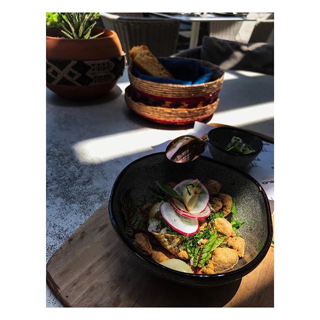 natdelarose's tweet photo. Chicharrón de pescado en @torosantafemx.
Un gusto verlas @livaga @joannelopez. Abrazos!
.
.
.
#mexico #cdmx #cdmxfood #mexicocity #santafe #torosantafe #restaurant #food #foodie #foodgram https://t.co/C6gmw6KARx https://t.co/Fo4Ch5CtCw