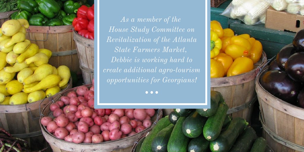 GAChamber's tweet image. This week’s “Legislator Spotlight Series” goes to Debbie Buckner in State House District 137! Debbie received an A+ on the Chamber Scorecard this session and we appreciate her ongoing support for Georgia’s business community! #GAChamberLegislatorSpotlight #gapol #BestForBiz