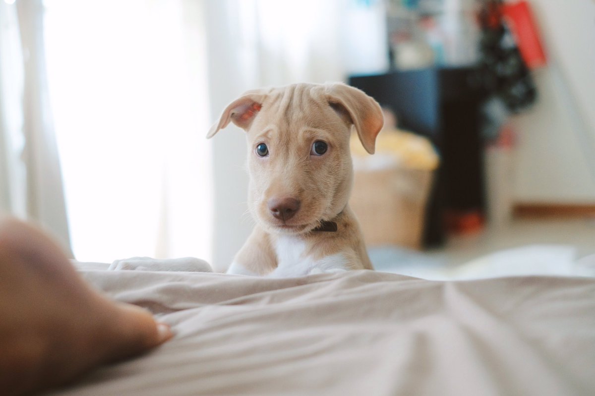 GlutaStory's tweet image. ความไร้เดียงสาของแก 
ทำให้เราอ่อนไหวอยู่รู้ไหม

#ตามหาการ์เด้น