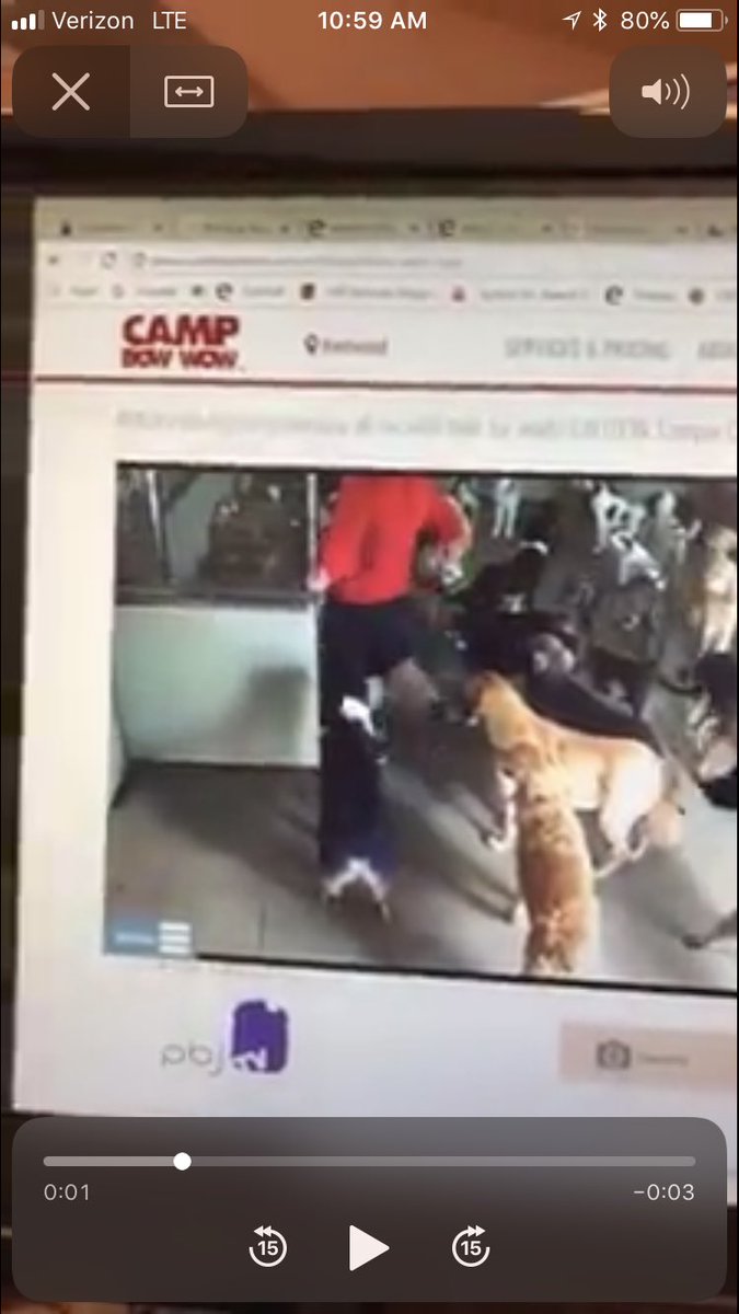 Noah Fromson on Twitter "Kent County is investigating this animal