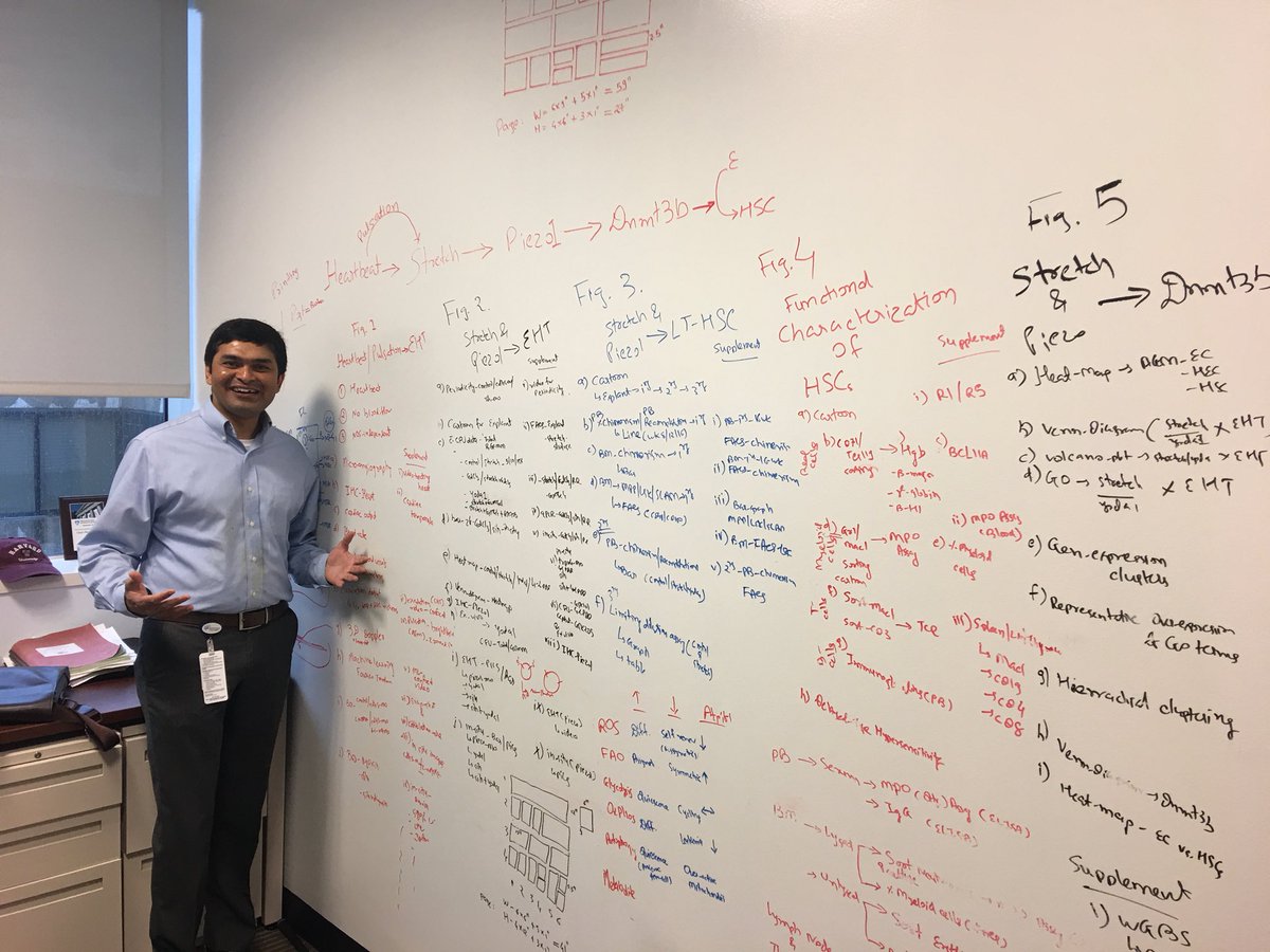 KidsOncDoc's tweet image. Our newest scientist in the Center for Childhood Cancer and Blood Diseases @nationwidekids @NCHforDocs Dr Dhvanit Shah @shahdhvanit recruited from Harvard plans his next seminal publication on blood and vascular development #stemcells