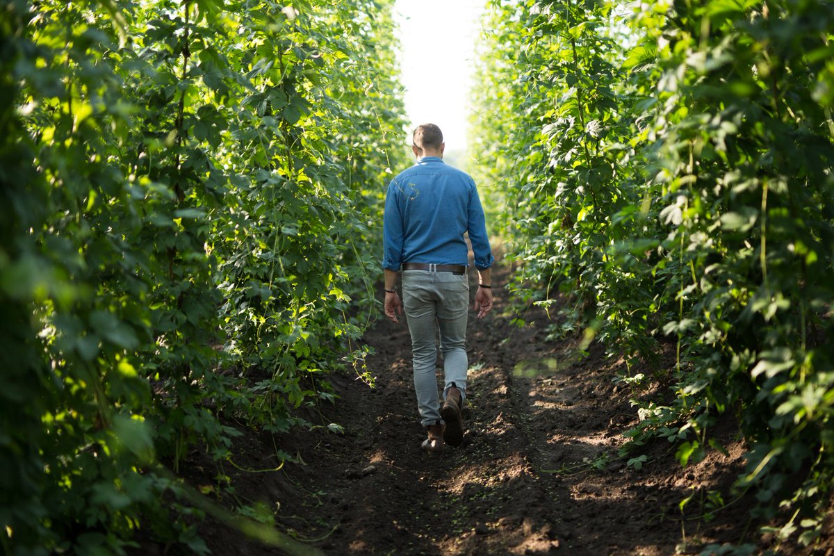Czech Craft Beer Alliance tweet media