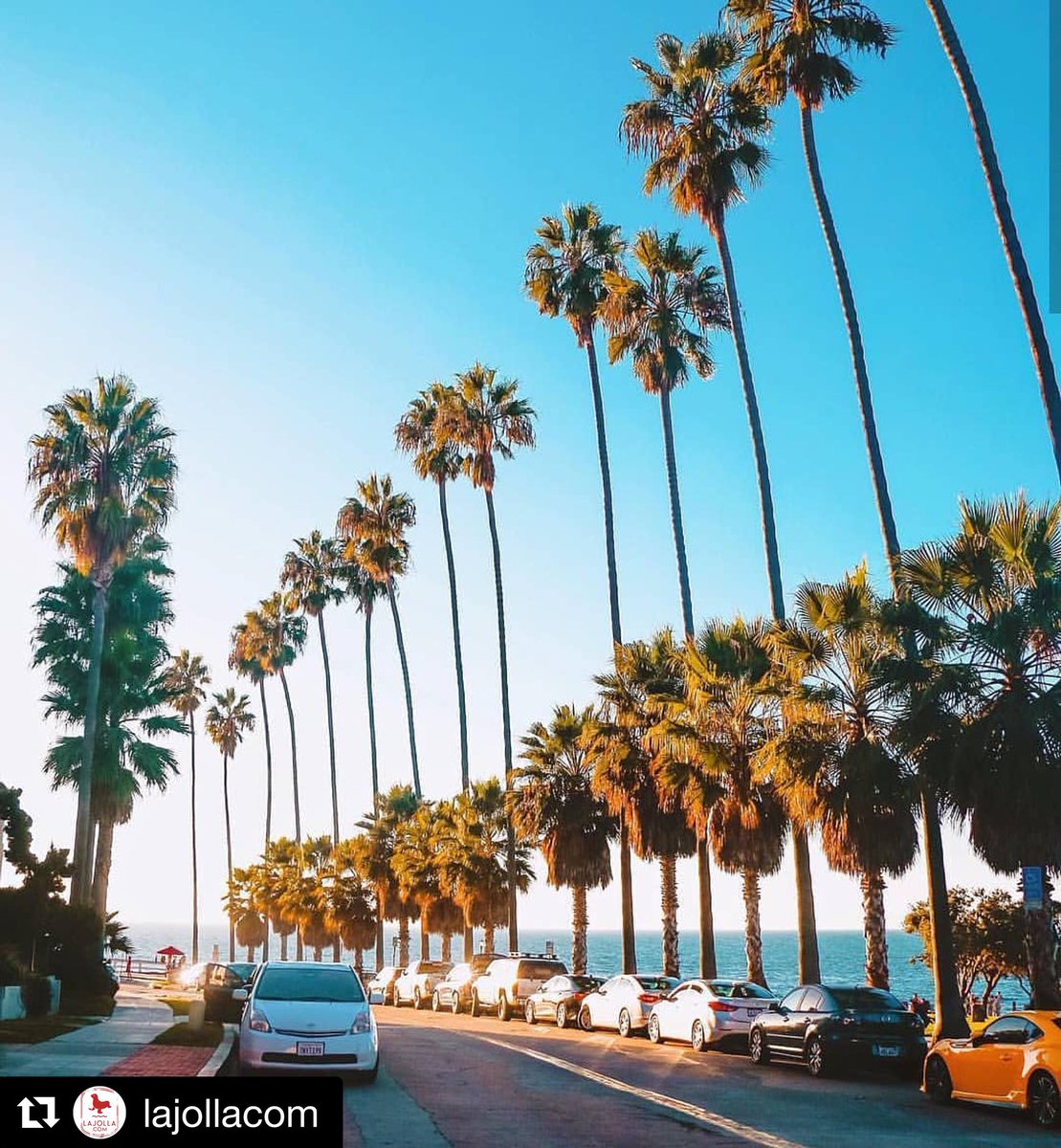 PantaiInn's tweet photo. Who’s ready for some fun in the sun today?? 📷: @LaJollaCom via @yukisayslol #summertravel #beachvacay #smallluxuryhotels https://t.co/YusGMOjLaW