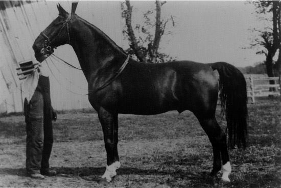asbmuseum's tweet photo. "Figure This One Out" is the title of this composite photograph illustrating the working methods of George Ford Morris. Two prints of the photo have been cut and recombined to change the head position of the horse — leaving a headless man! #saddlebred #asbmuseum https://t.co/U0vZrMJNph