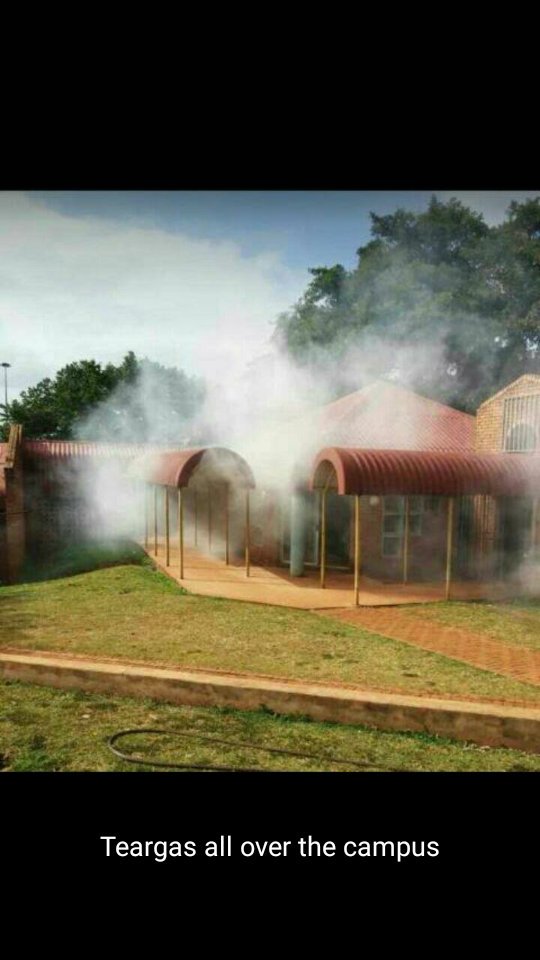 NCHETEjr's tweet photo. #225movement
#universityofvenda
#univensaga https://t.co/STzON7DrxS