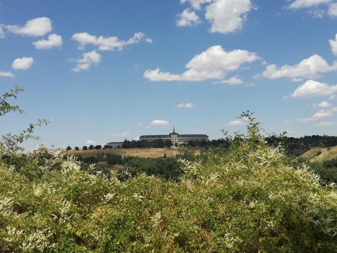 Este bello edificio es sede de @UCAVILA, UNED, la Facultad de Enfermería de <a href="/usal/">Universidad de Salamanca</a>, la Fund. Cultural Sta Teresa y la Agencia Provincial de la Energía de Ávila. Antes fue Centro de Formación de la <a href="/policia/">Policía Nacional</a>, y en su origen, Colegio de Huérfanos Ferroviarios de #Ávila

#BuenasNoches